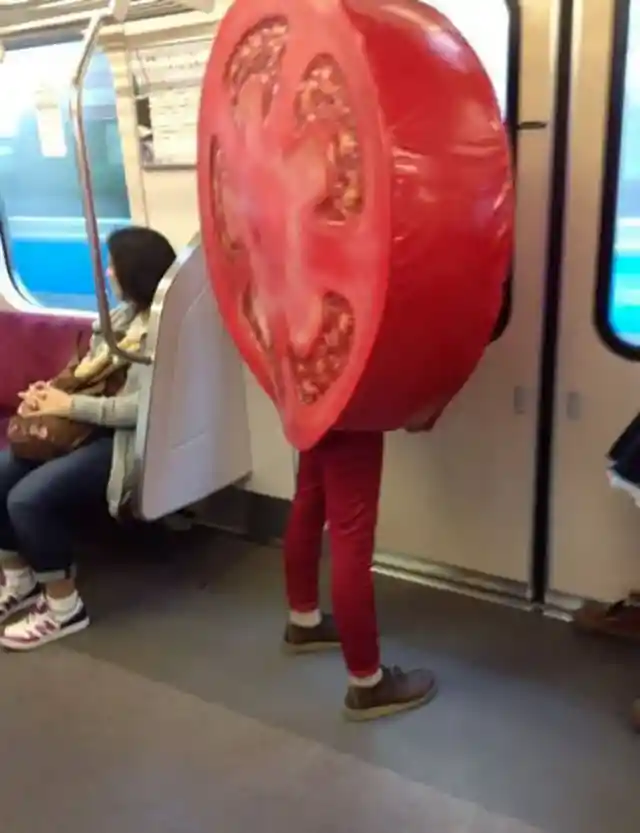 Traveling Tomato