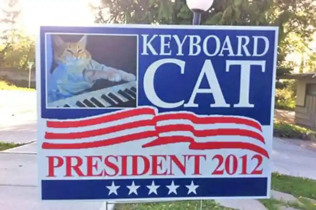 Keyboard Cat Enters The Game