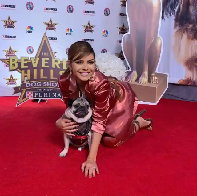 Maria Menounos- On Screen