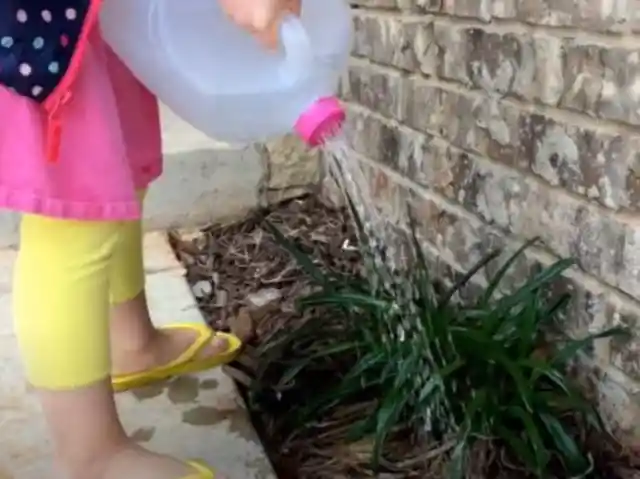 DIY Watering Can