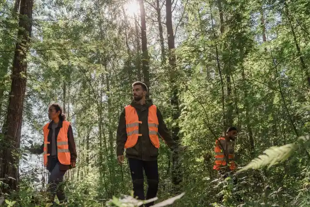 Hiker Notices Something Strange About Tree, Finds Connection To Missing Person