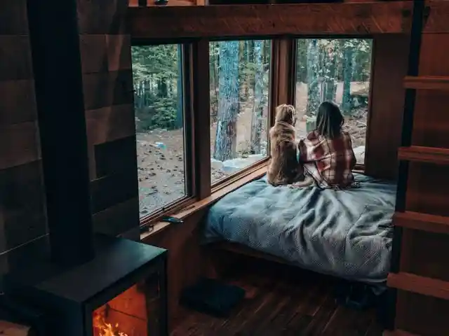 Mom Sleeps Next To New Dog, Unaware Of What He'll Do In The Middle Of The Night