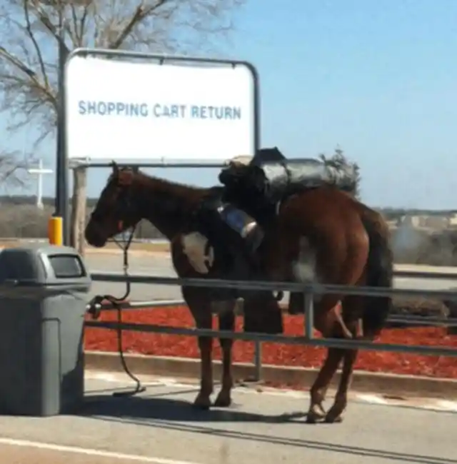 That doesn’t look like a shopping cart!