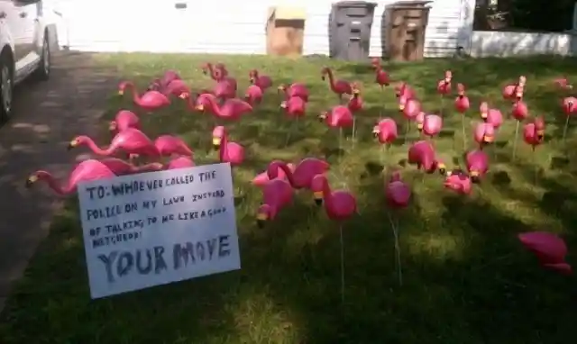 Little Flamingos For The Revenge Plan