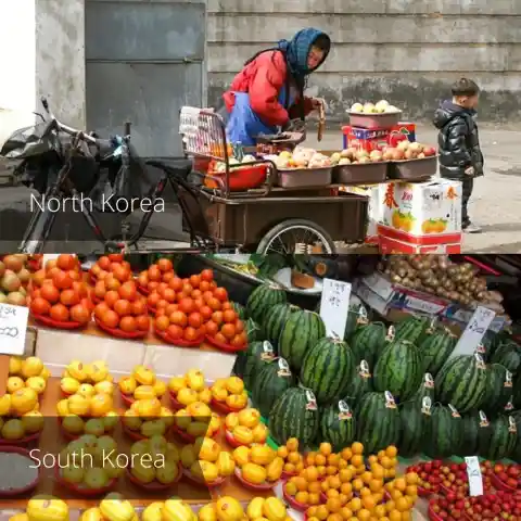 APPLES AND CABBAGES