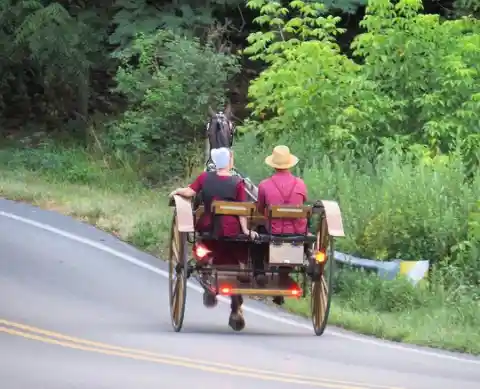 A Tour For Newlyweds