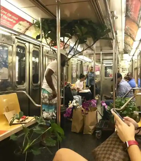 Gardening In Subway