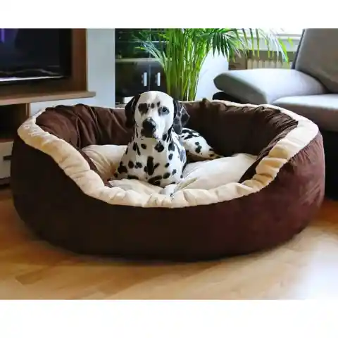 Deodorize Your Dog’s Bed