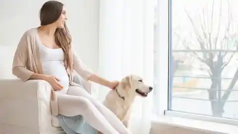 Wife Refuses To Shower Without Dog, Husband Checks Camera