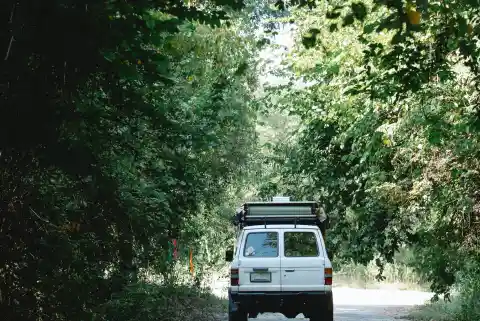 Woman Notices Trash Bag On Road, Follows Her Instincts And Opens It Up