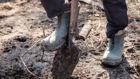 Girl Goes Missing For 5 Years, Dad Finds Buried Chain In Yard And Breaks Case Wide Open