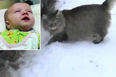 Masha Adopts A Baby Human
