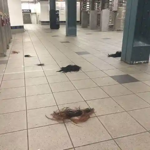 A Trail Of Hair After A War