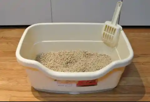 Make the kitty litter box a little better