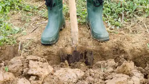 Girl Goes Missing For 5 Years, Dad Finds Buried Chain In Yard And Breaks Case Wide Open