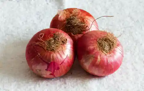 Onion