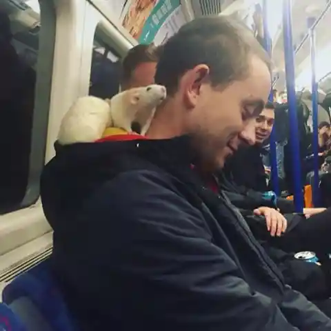 Stuart’s Subway Adventures