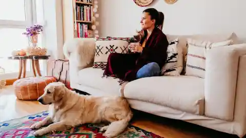 Wife Refuses To Shower Without Dog, Husband Checks Camera