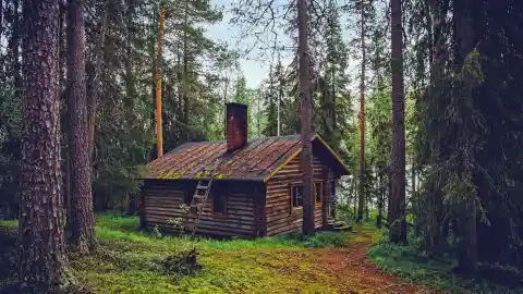 The Abandoned Cabin