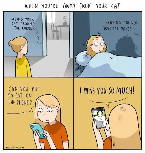 #6 You’ll miss your cat