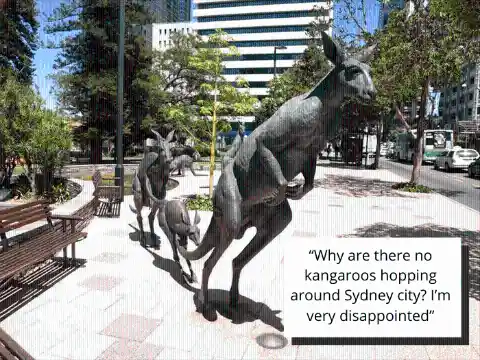 No kangaroos in the city