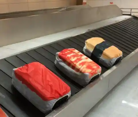 Sushi On Suitcase