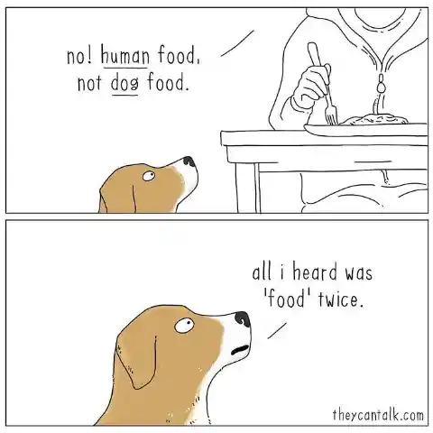 Dog Logic