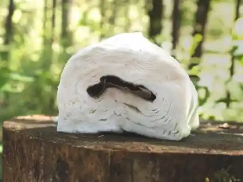 Melting Paper