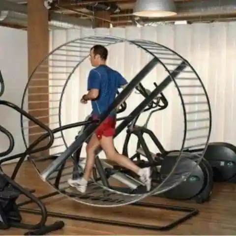 Running On The Hamster Wheel