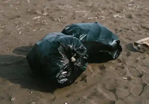 Woman Notices Trash Bag On Road, Follows Her Instincts And Opens It Up