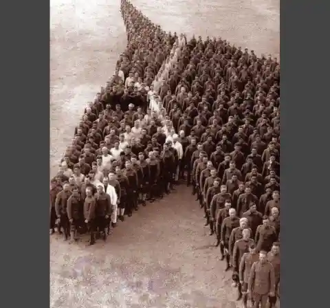 Thanking The Animals, 1918