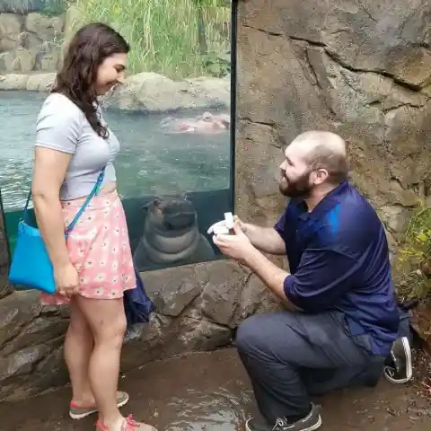 Witnessing The Proposal