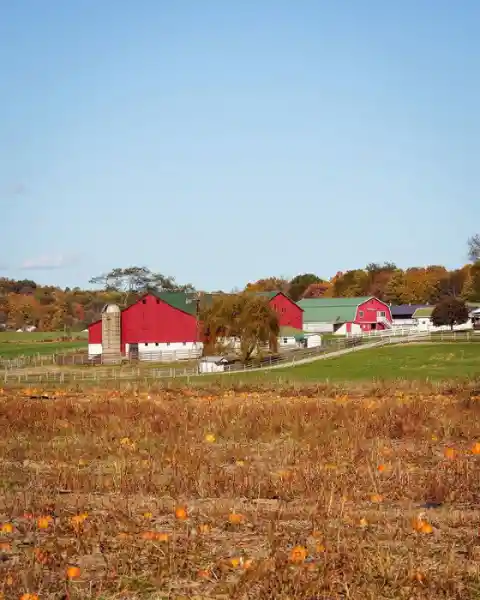 Amish Around The United States