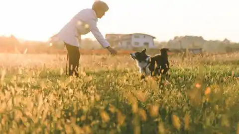 Mom Notices Dog Won’t Leave Trash Bag Alone, Finds Out Neighbor’s Secret