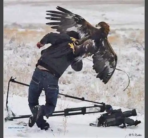 Eagles Attack