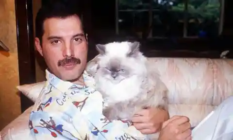 Freddie Mercury And His Cat, 1988