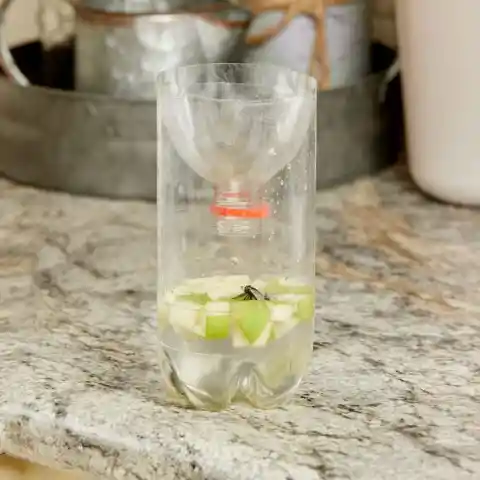 40. DIY Indoor Fly Trap