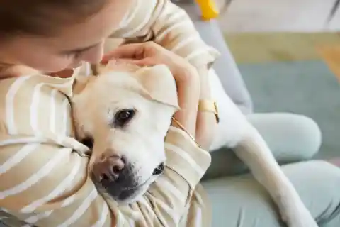 Wife Refuses To Shower Without Dog, Husband Checks Camera