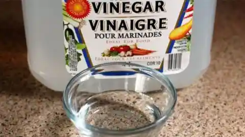 Vinegar