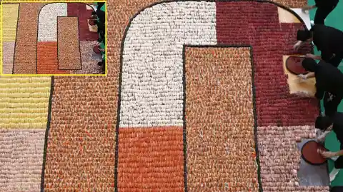 Largest Sushi Mosaic