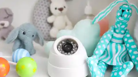 The Nanny Cam