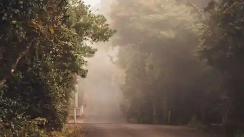 Woman Notices Trash Bag On Road, Follows Her Instincts And Opens It Up