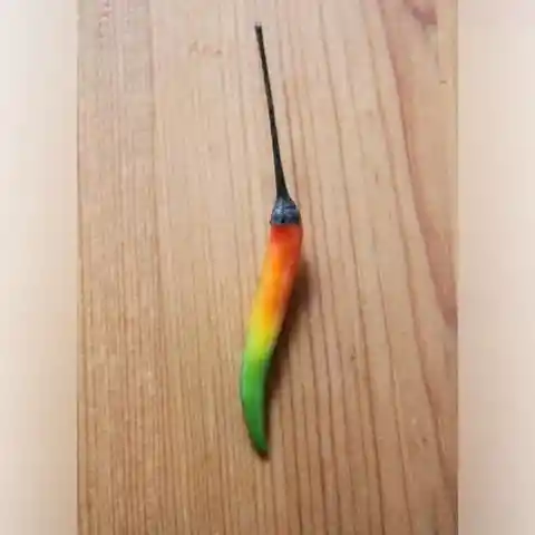 18. Magic Rainbow Pepper