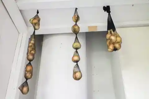 3. Hang Onions In Pantyhose