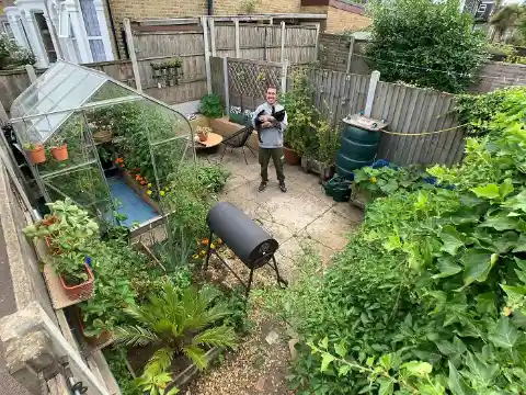 Urban garden