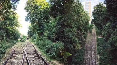 Petite Ceinture, Paris, France