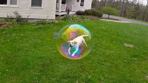 Leap Out Of The Bubble