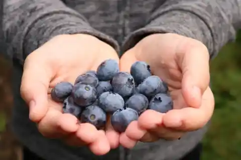 Blueberries