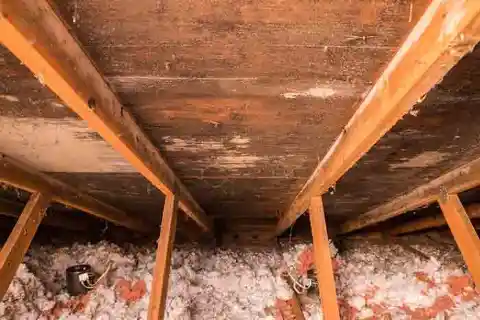 Get Rid Of Moldy Attic Smells