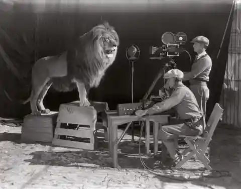 Famous lion form the MGM opening credits